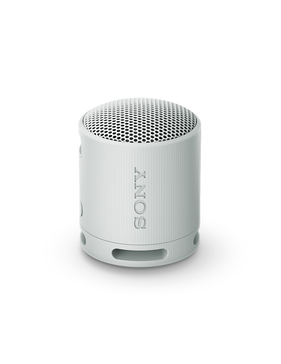 SONY SRS-XB100/B, GRIS