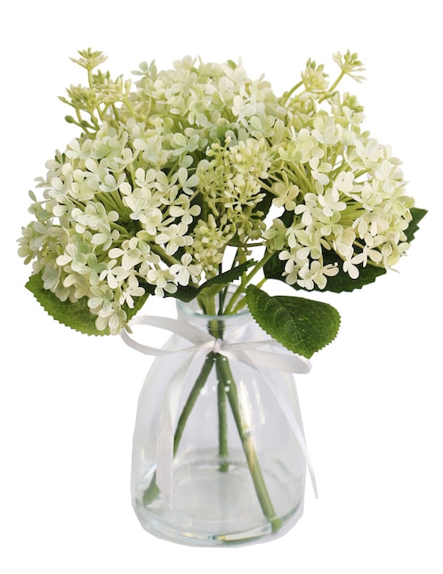 Preelaborado de hortensia Haus