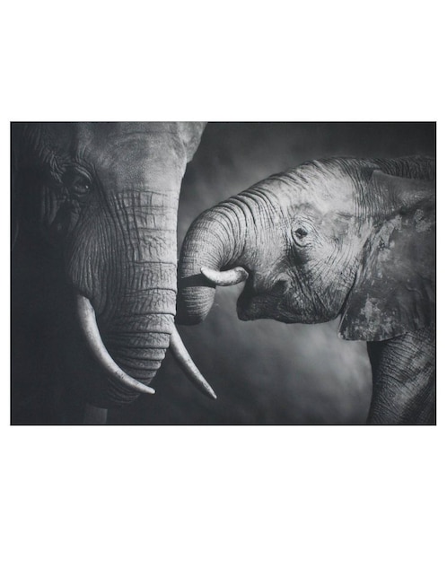 Cuadro Un Toque Francés Beso Elefante