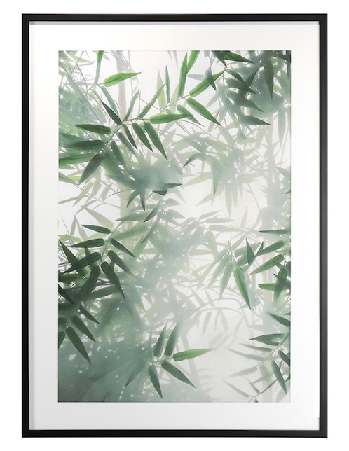 Litografía Haus Rainforest Bamboo técnica impresión