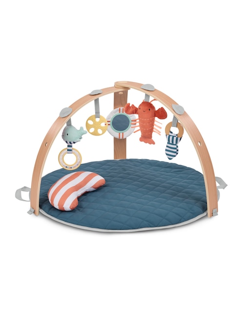 Gimnasio Ingenuity Play Gyms