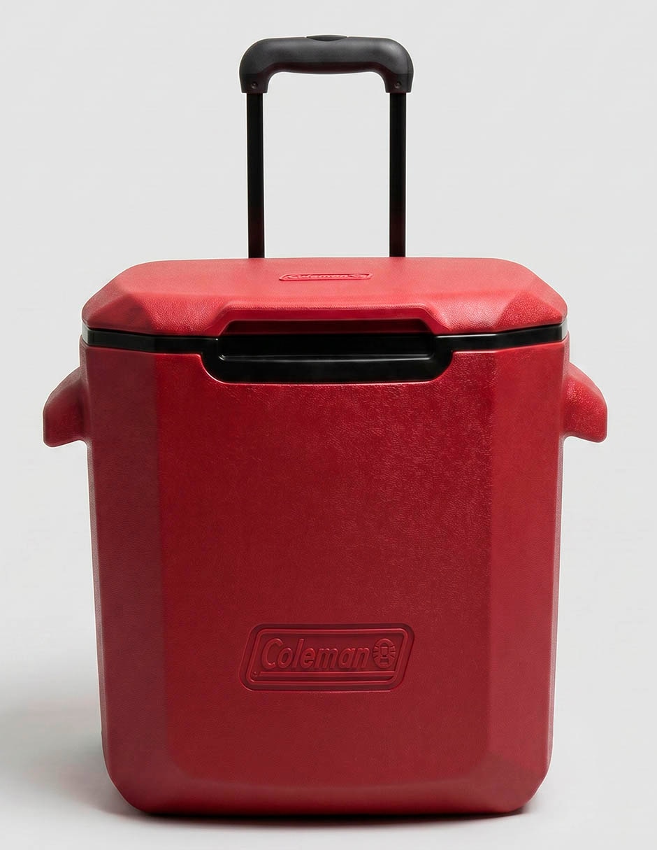 HIELERA COLEMAN, 3 KG, MARRÓN ROJIZO