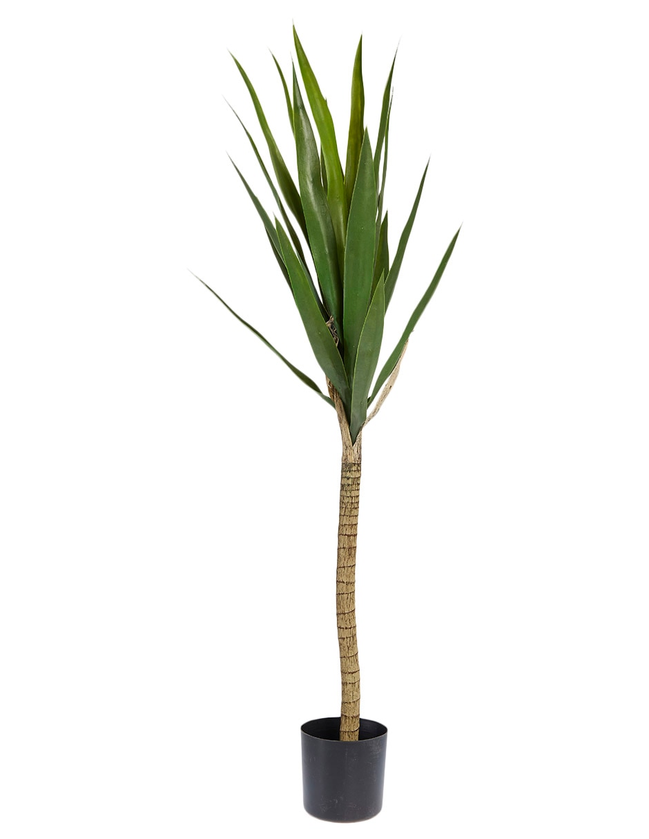 ÁRBOL YUCCA, 110 CM, VERDE