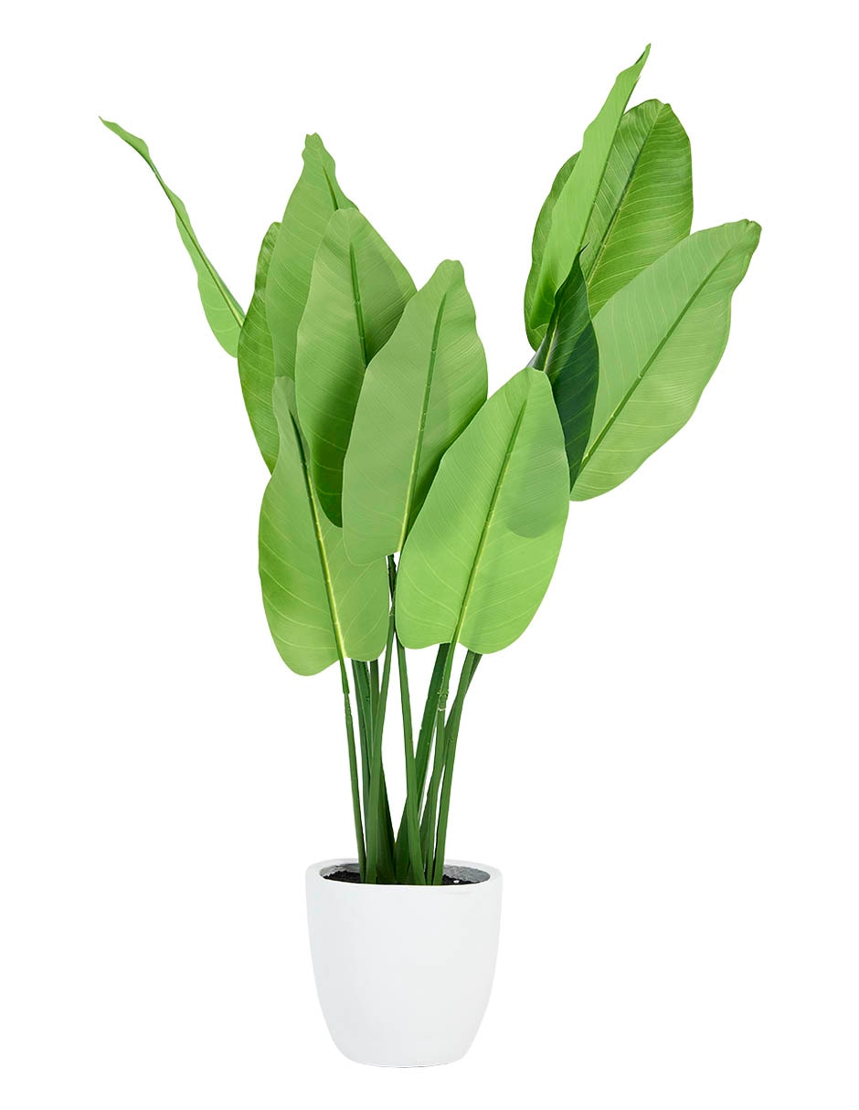 Planta Haus