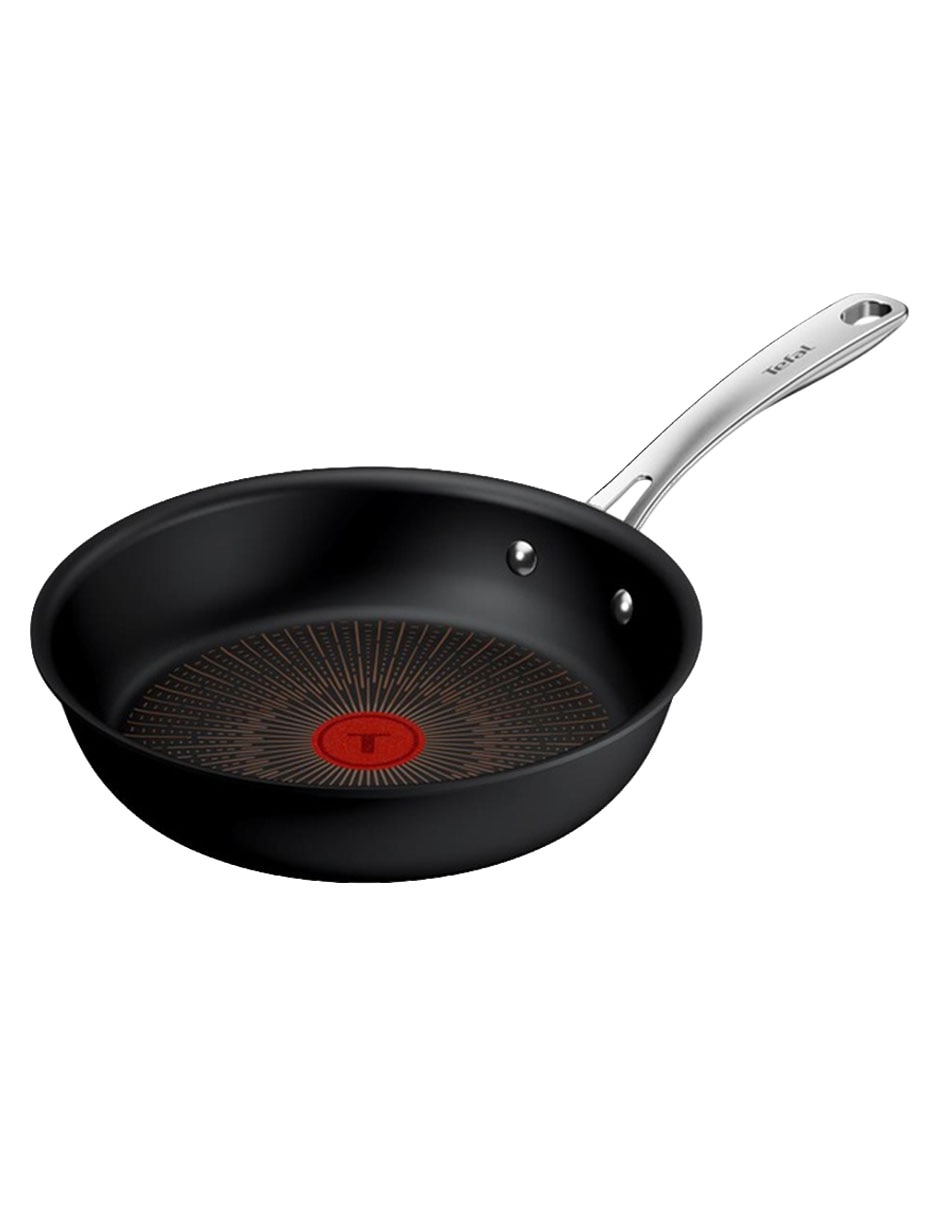Sartén T-Fal Excellence + de acero inoxidable