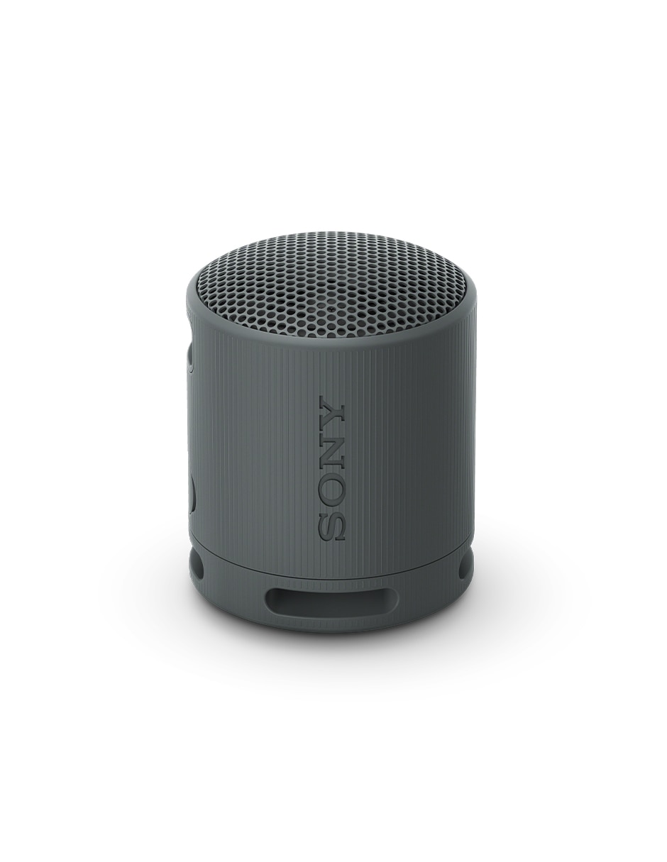 SONY SRS-XB100/B, NEGRO