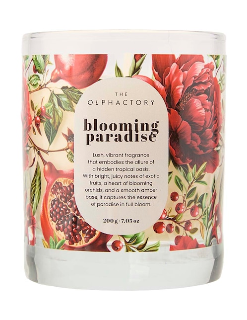 Vela aromática Ambientair aroma floral frutal