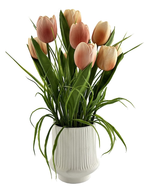Preelaborado de tulipán Haus