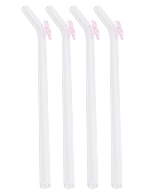 Set popotes Haus de borosilicato con 4 piezas