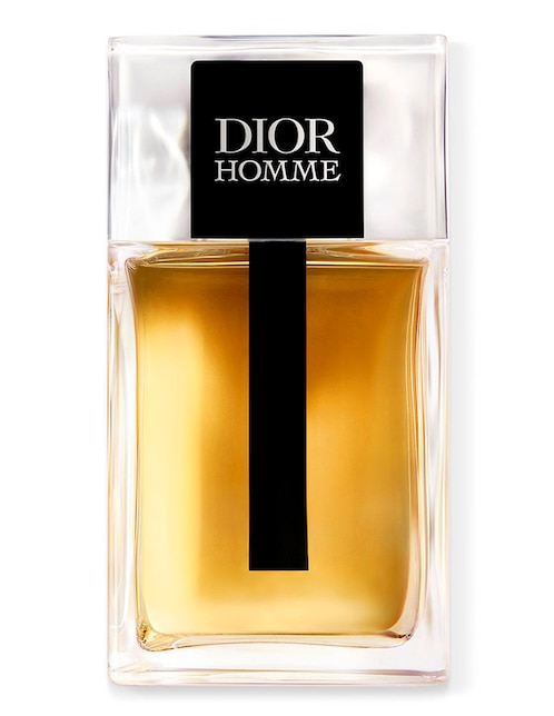 CD DIOR HOMME EDT 100 ML